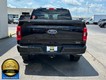 2022 Ford F-150 4WD XLT SuperCrew thumbnail image 07