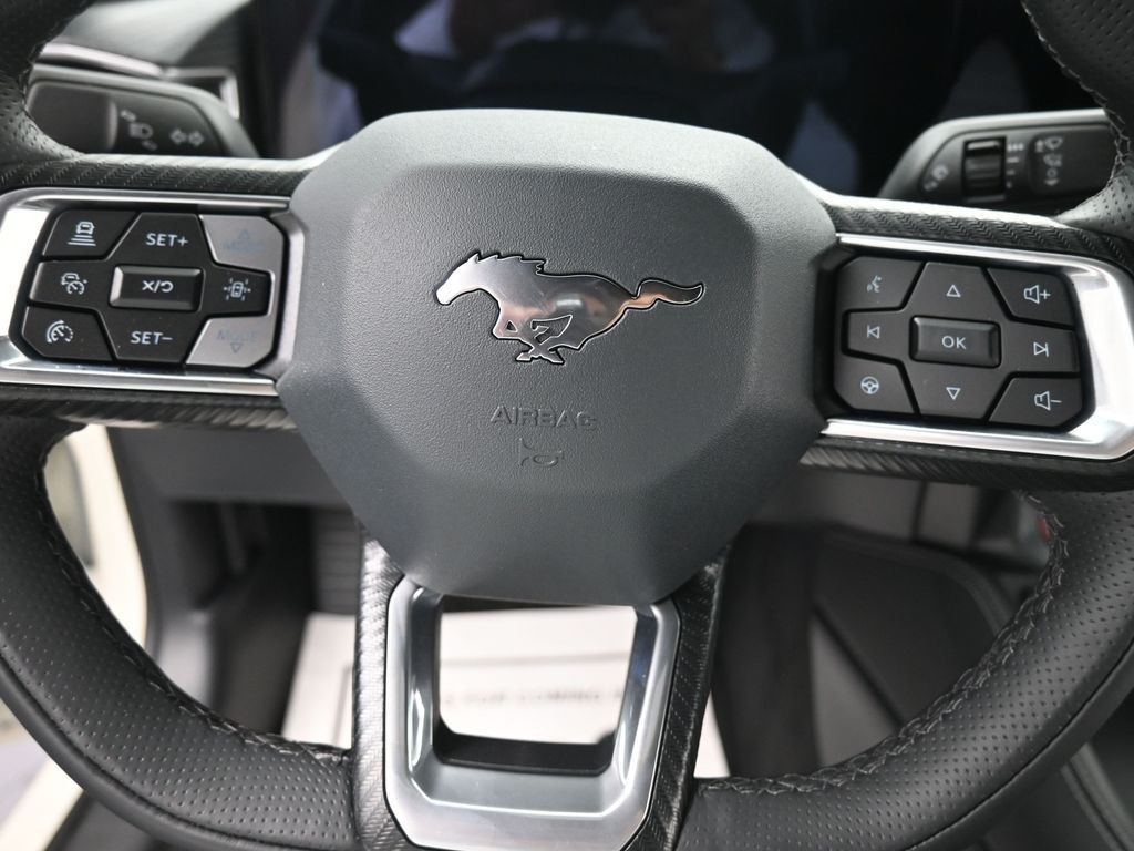 Ford Mustang Vehicle Full-screen Gallery Image 14