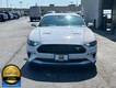 2021 Ford Mustang EcoBoost Premium thumbnail image 04