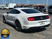 2021 Ford Mustang EcoBoost Premium thumbnail image 06