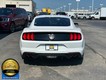 2021 Ford Mustang EcoBoost Premium thumbnail image 07