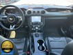 2021 Ford Mustang EcoBoost Premium thumbnail image 16