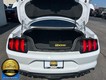 2021 Ford Mustang EcoBoost Premium thumbnail image 19