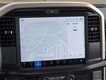 2025 Ford F-150 STX thumbnail image 14