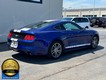 2016 Ford Mustang EcoBoost thumbnail image 03