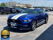2016 Ford Mustang EcoBoost thumbnail image 05