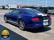 2016 Ford Mustang EcoBoost thumbnail image 06