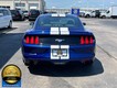 2016 Ford Mustang EcoBoost thumbnail image 07
