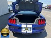2016 Ford Mustang EcoBoost thumbnail image 18