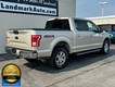 2017 Ford F-150 4WD XLT SuperCrew thumbnail image 03