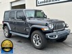 2020 Jeep Wrangler Unlimited Sahara thumbnail image 02