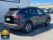 2025 Ford Escape ST-Line Select thumbnail image 03