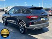 2025 Ford Escape ST-Line Select thumbnail image 06