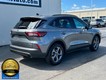 2025 Ford Escape ST-Line thumbnail image 03