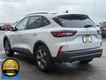 2025 Ford Escape ST-Line thumbnail image 05