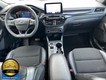 2025 Ford Escape ST-Line thumbnail image 15