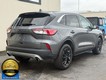2022 Ford Escape SE thumbnail image 03