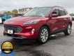 2021 Ford Escape Titanium Hybrid thumbnail image 07