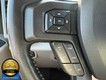 2019 Ford F-150 4WD XLT SuperCrew thumbnail image 10