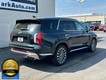 2024 Hyundai Palisade Calligraphy thumbnail image 03