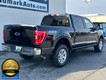 2023 Ford F-150 4WD XLT SuperCrew thumbnail image 03