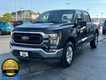 2023 Ford F-150 4WD XLT SuperCrew thumbnail image 05