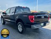 2023 Ford F-150 4WD XLT SuperCrew thumbnail image 06