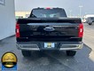 2023 Ford F-150 4WD XLT SuperCrew thumbnail image 07