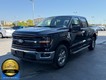 2025 Ford F-150 XLT thumbnail image 05