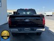2025 Ford F-150 XLT thumbnail image 07