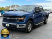 2025 Ford F-150 XLT thumbnail image 05