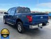 2025 Ford F-150 XLT thumbnail image 06