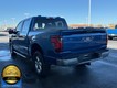 2024 Ford F-150 XLT thumbnail image 06