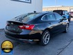 2023 Chevrolet Malibu LT thumbnail image 03