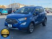 2021 Ford EcoSport Titanium thumbnail image 05