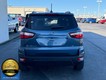 2021 Ford EcoSport SE thumbnail image 07