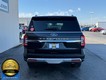 2024 Ford Expedition Limited thumbnail image 07