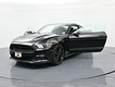 2016 Ford Mustang GT Premium thumbnail image 26