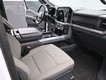 2024 Ford F-150 XLT thumbnail image 15