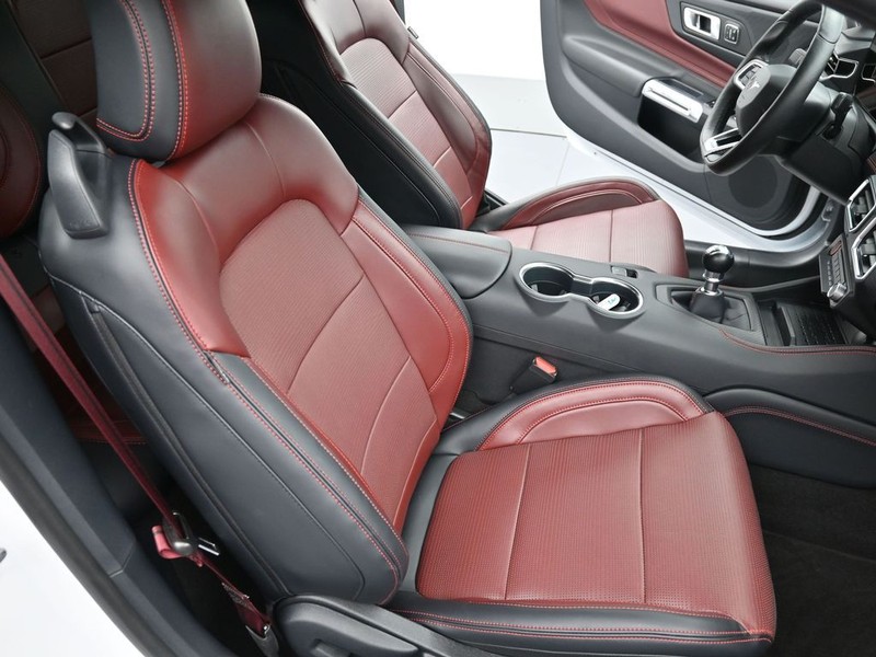 Ford Mustang Vehicle Full-screen Gallery Image 11