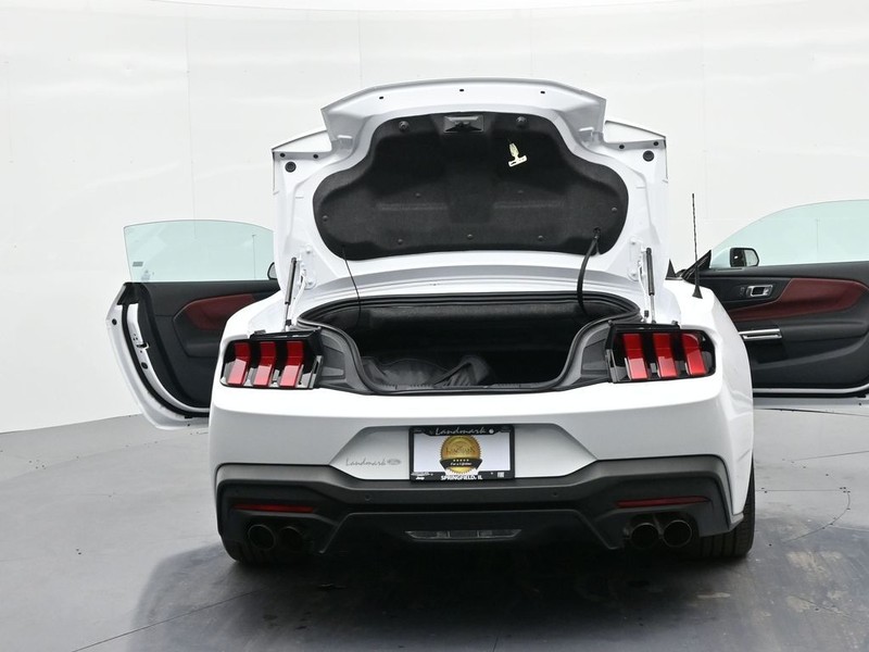 Ford Mustang Vehicle Full-screen Gallery Image 24