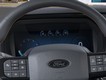 2025 Ford F-150 Tremor thumbnail image 13