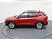 2026 Ford Escape Active thumbnail image 22