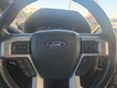 2018 Ford F-150 Platinum thumbnail image 13