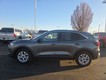2024 Ford Escape Active thumbnail image 03