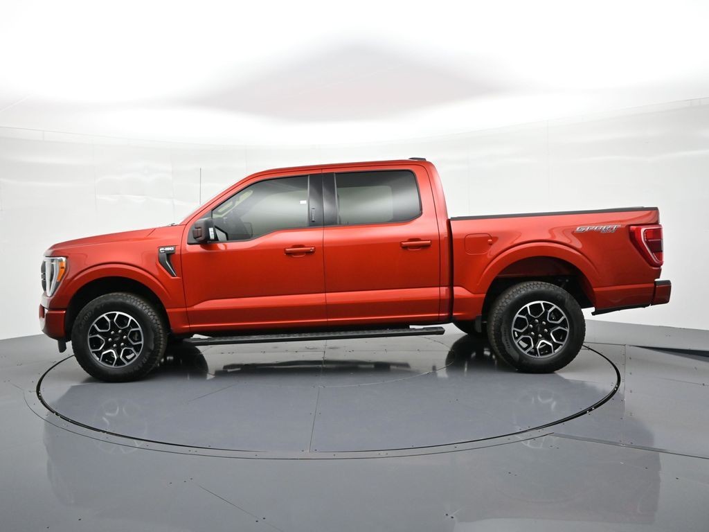 Ford F-150 Vehicle Full-screen Gallery Image 9