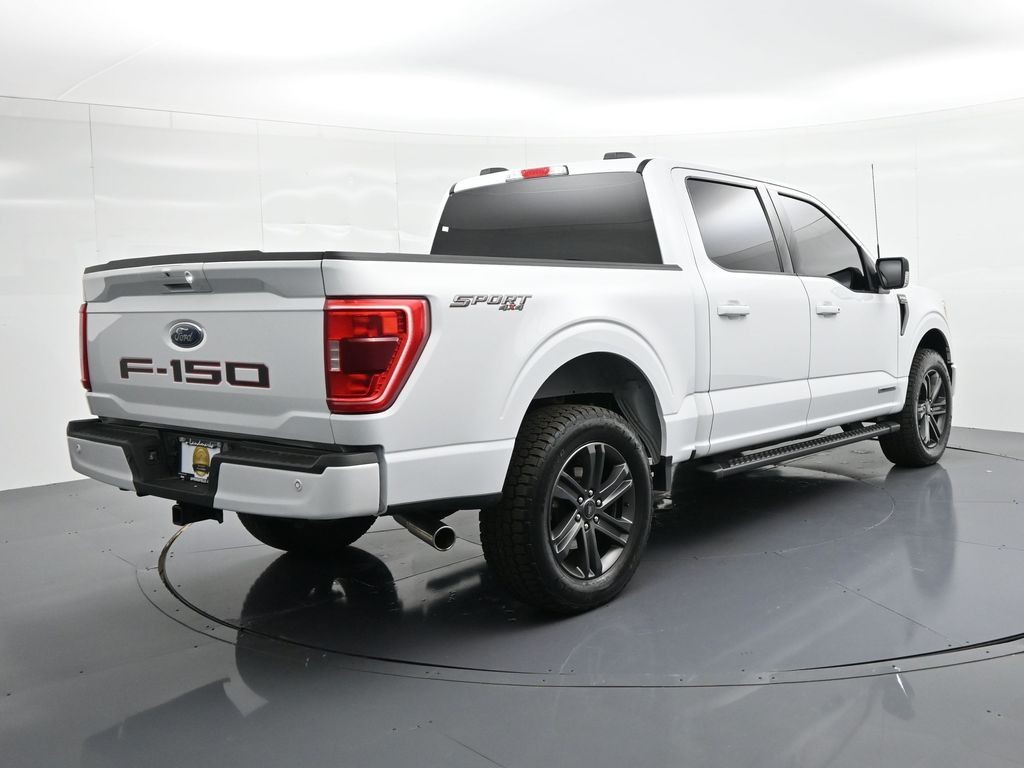 Ford F-150 Vehicle Full-screen Gallery Image 6