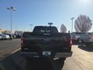 2020 Ford F-150 XLT thumbnail image 06