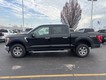 2023 Ford F-150 XLT thumbnail image 03