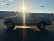 2010 Ford F-150   thumbnail image 03